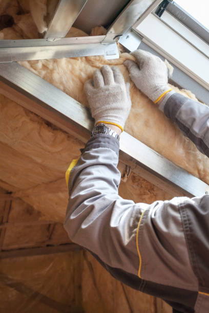Best Geographic-Specific Insulation Services in San Marino, CA