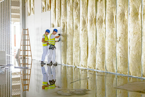 Best Cellulose Insulation in San Marino, CA